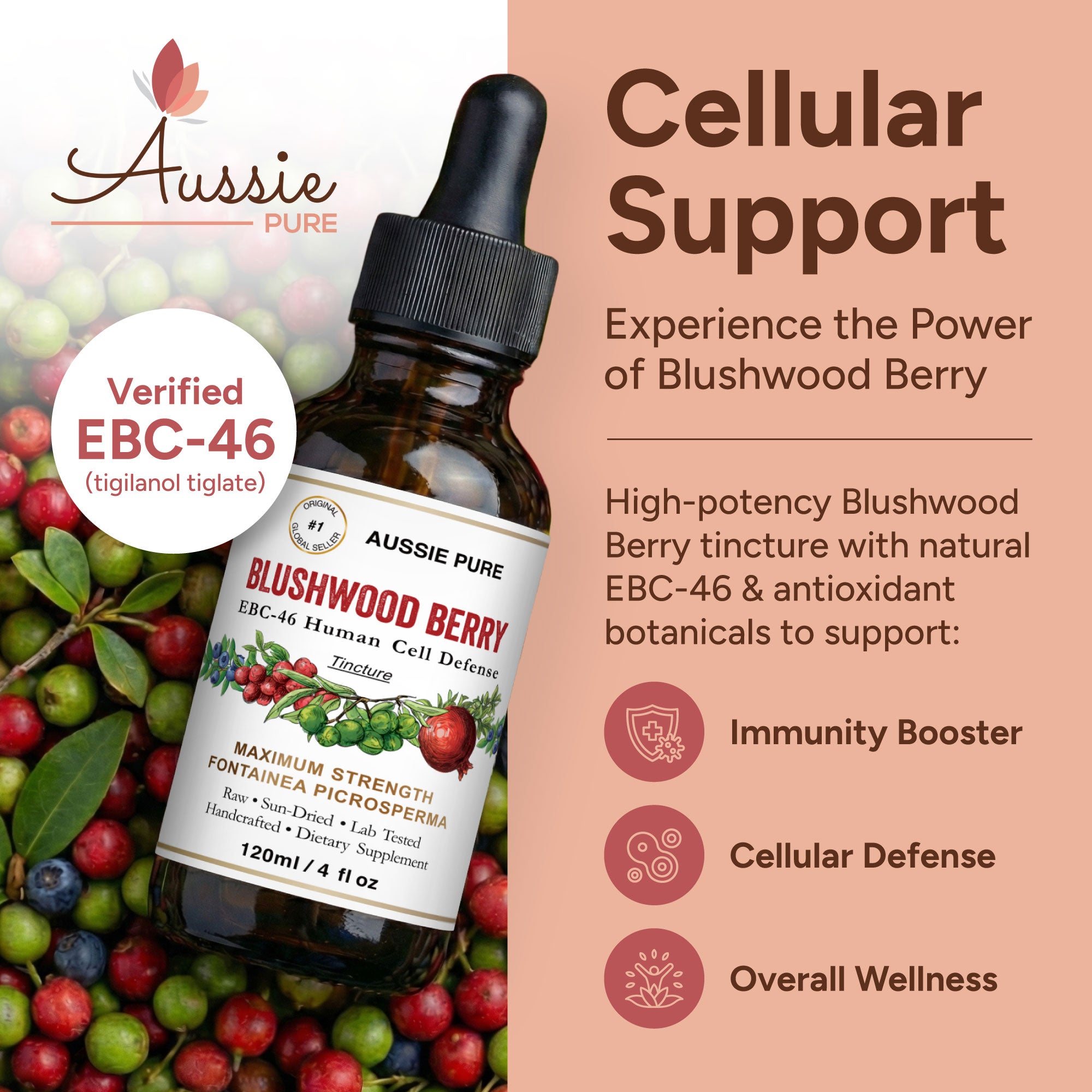 Blushwood Berry EBC-46 Human Cell Defense Tincture