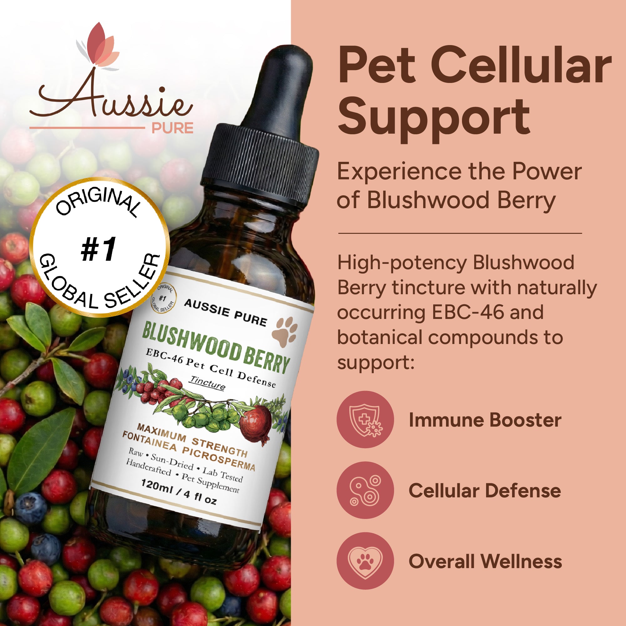 Blushwood Berry EBC-46 Pet Cell Defense Tincture