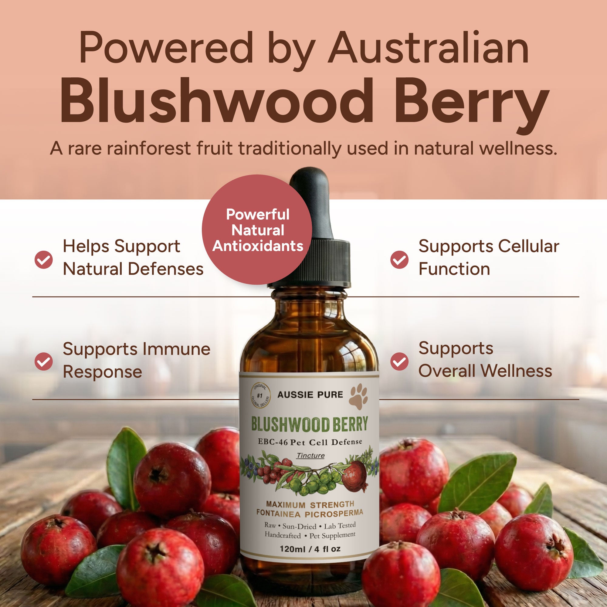 Blushwood Berry EBC-46 Pet Cell Defense Tincture