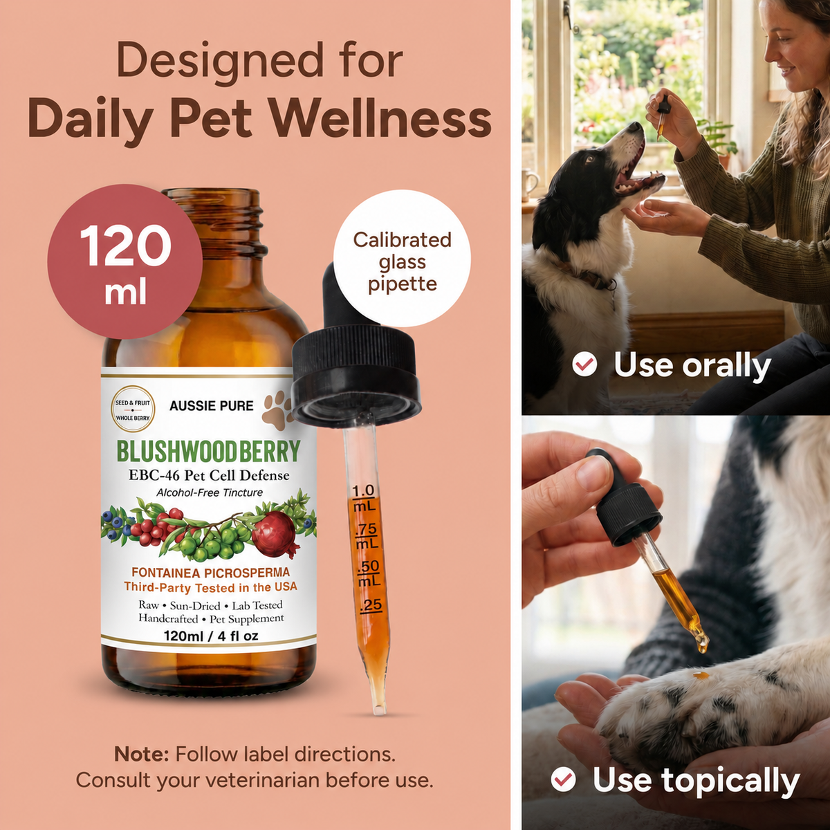 Blushwood Berry EBC-46 Pet Cell Defense Tincture