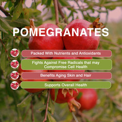 Blushwood-Kakadu-Pomegranate-Blueberry Everyday Tincture