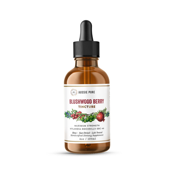 Blushwood Berry Human Therapy Maximum Strength Tincture