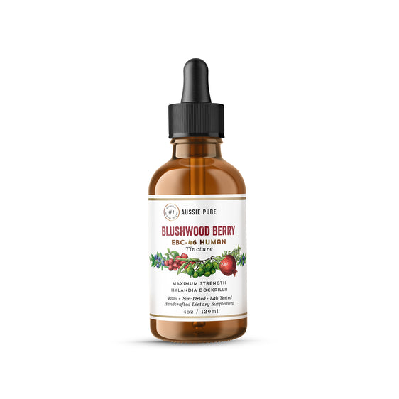 Blushwood Berry Human Therapy Maximum Strength Tincture