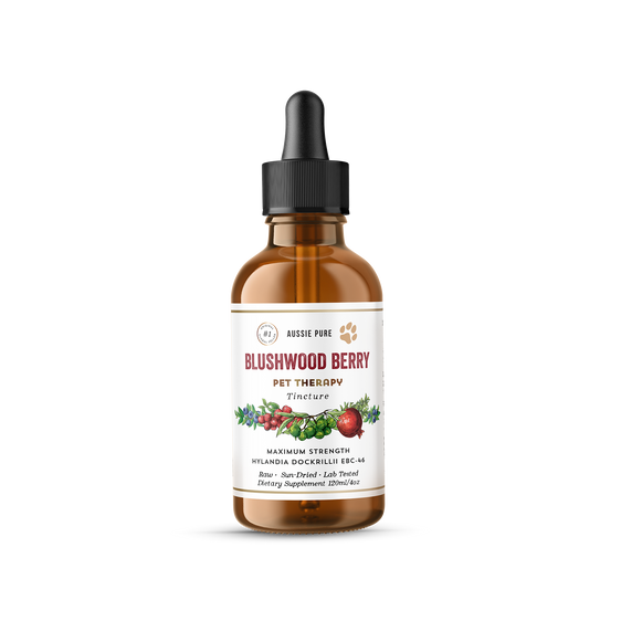 Blushwood Berry Pet Therapy Maximum Strength Tincture