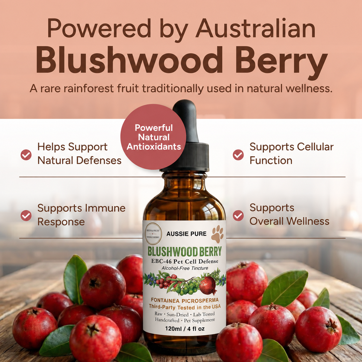 Blushwood Berry EBC-46 Pet Cell Defense Tincture
