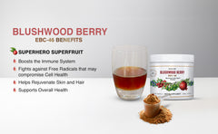 Blushwood Berry EBC-46 Maximum Strength Powder