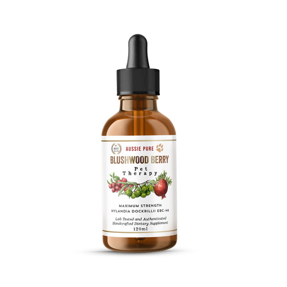 Blushwood Berry Pet Therapy Maximum Strength Tincture - 3 Sizes